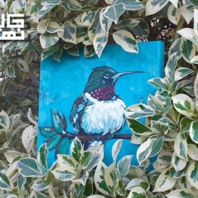 عصفورة على الشجرة ١