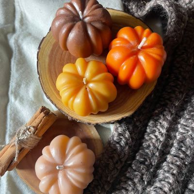 اليقطين الخريفي الجديد 