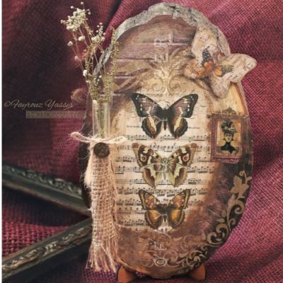 سيمفونية الفراشات 🦋🎶