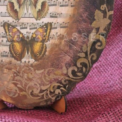 The butterflies Symphony 🦋🎶