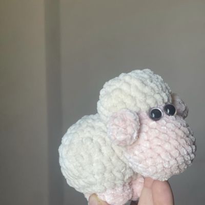 Sheep