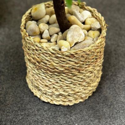 شجرة البنجامينا الاصطناعية للديكور الداخلي - نبات زينة منزلي طبيعي المظهر - 120 سم