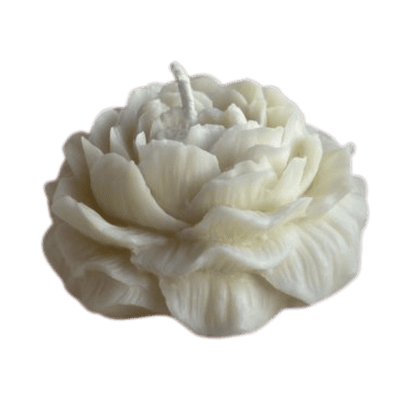 شمعة الفاوانيا