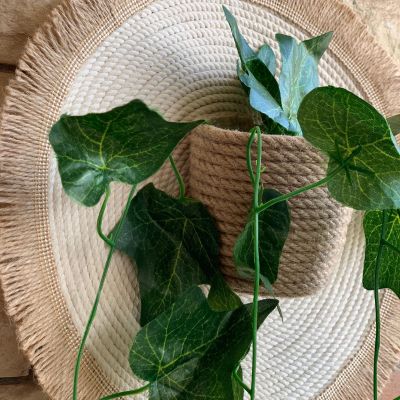 كوستر بشلال زرع 