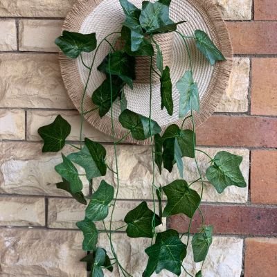 كوستر بشلال زرع 