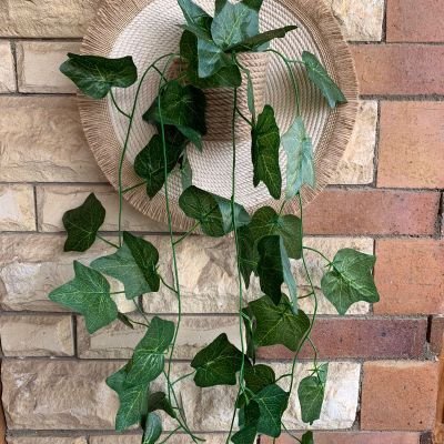 كوستر بشلال زرع 