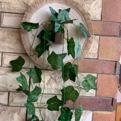 كوستر بشلال زرع 