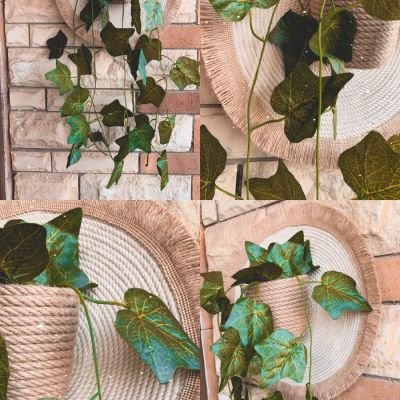 كوستر بشلال زرع 