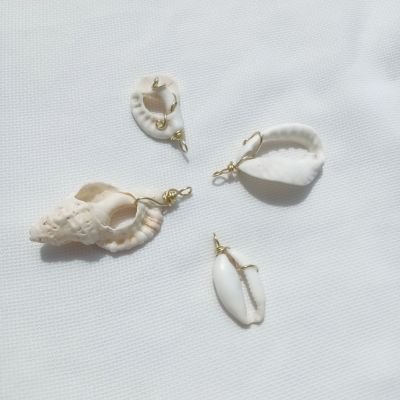 عدد 4 دلايات صدف طبيعي مشغوله بالناس الوير