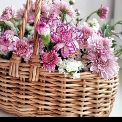 باسكت للورد