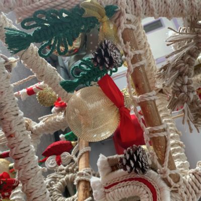 شجرة عيد الميلاد الضخمة 🎄