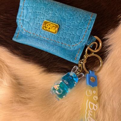 Keychain card holder