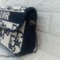 Dior Etamin bag