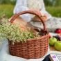 Picnic basket 