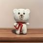 Medal Teddy bear toy