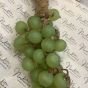 A bunch of green grapes soap