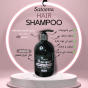 shampoo 