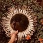 Sunflower mirror