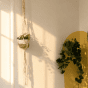 Plant pot with hanger