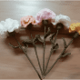 Carnations of crochet 