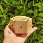 Magic - Hand-Burned Hexagon Wooden Box