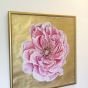 Peony gold Framed painting