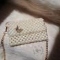 Butterfly pearl bag