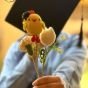 Graduation chick
