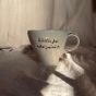 Arabic Quoted mug