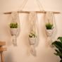 Macramé Plant Hanger