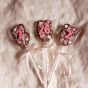 Chocolate lollipops 
