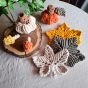Macrame Autumn decor 