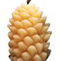 The Pine Cone Candle