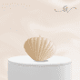 The Sea Shell Candle
